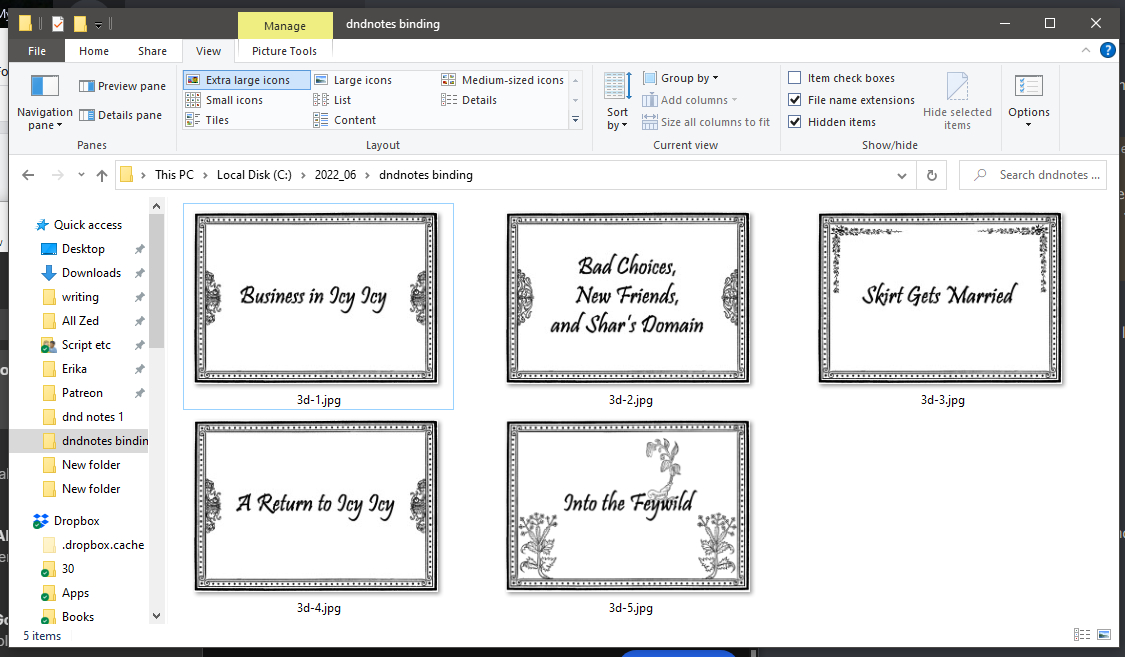 A screen capture of an explorer window showing a folder with five section divider pages that have tidy black and white border designs and section titles in a simple script: Business in Icy Icy; Bad Choices, New Friends, and Shar's Domain; Skirt Gets Married; A Return to Icy Icy; and Into the Feywild.