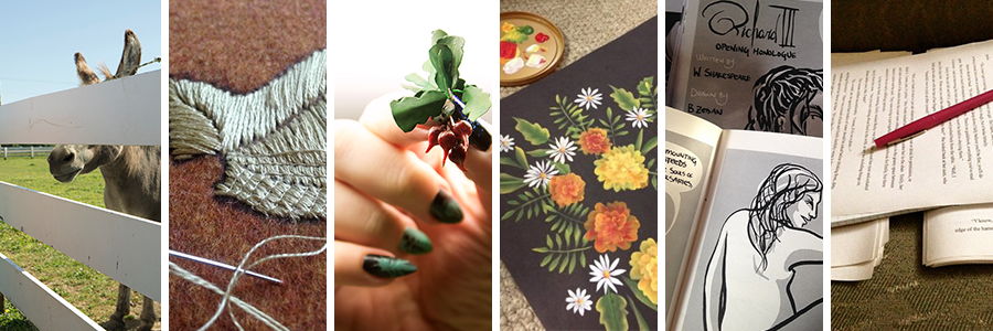 A series of six narrow vertical slices of images showing, from left to right: A photograph of a donkey standing behind a fence, so only the nose and ears are visible, an embroidered leaf in the process of being couched, dark manicured nails holding a miniature bundle of beets, yellow and orange marigolds painted on black paper, mini-comics in black and white, a pile of typed pages with a red correction pen resting on them.